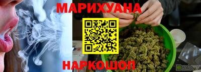 индика Краснознаменск