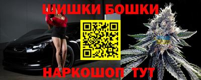 индика Краснознаменск