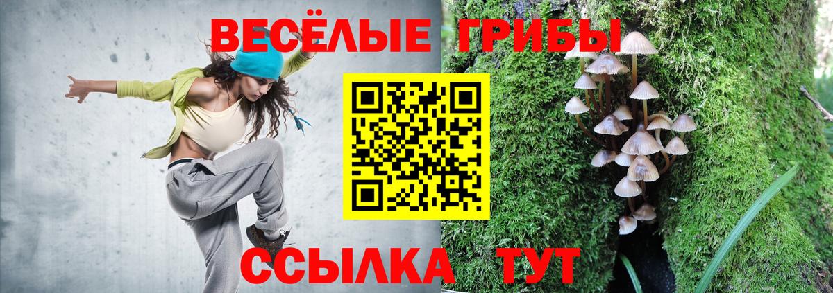 Галлюциногенные грибы GOLDEN TEACHER Йошкар-Ола