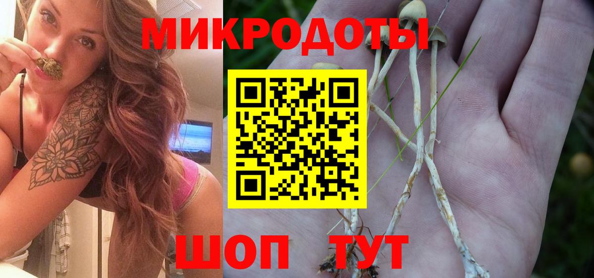 Йошкар-Ола  Псилоцибиновые грибы прущие грибы  Вход с VPN 